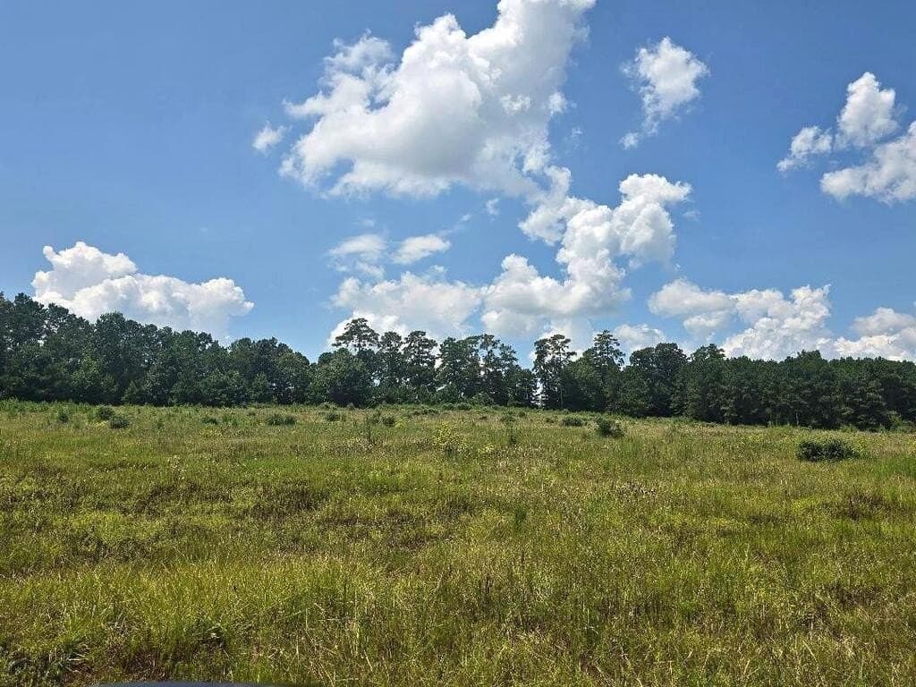 38.49 acres in Texas County - photo 6