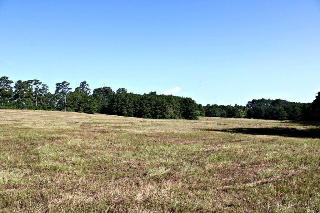 38.49 acres in Texas County - photo 2