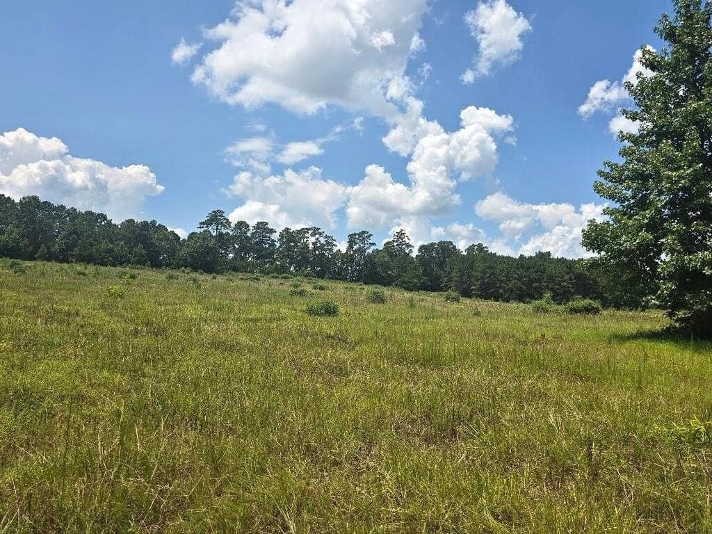 38.49 acres in Texas County - photo 7