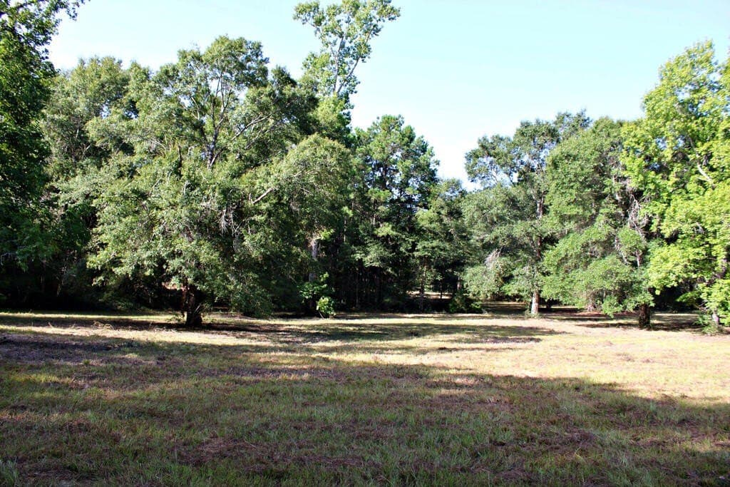38.49 acres in Texas County - photo 12