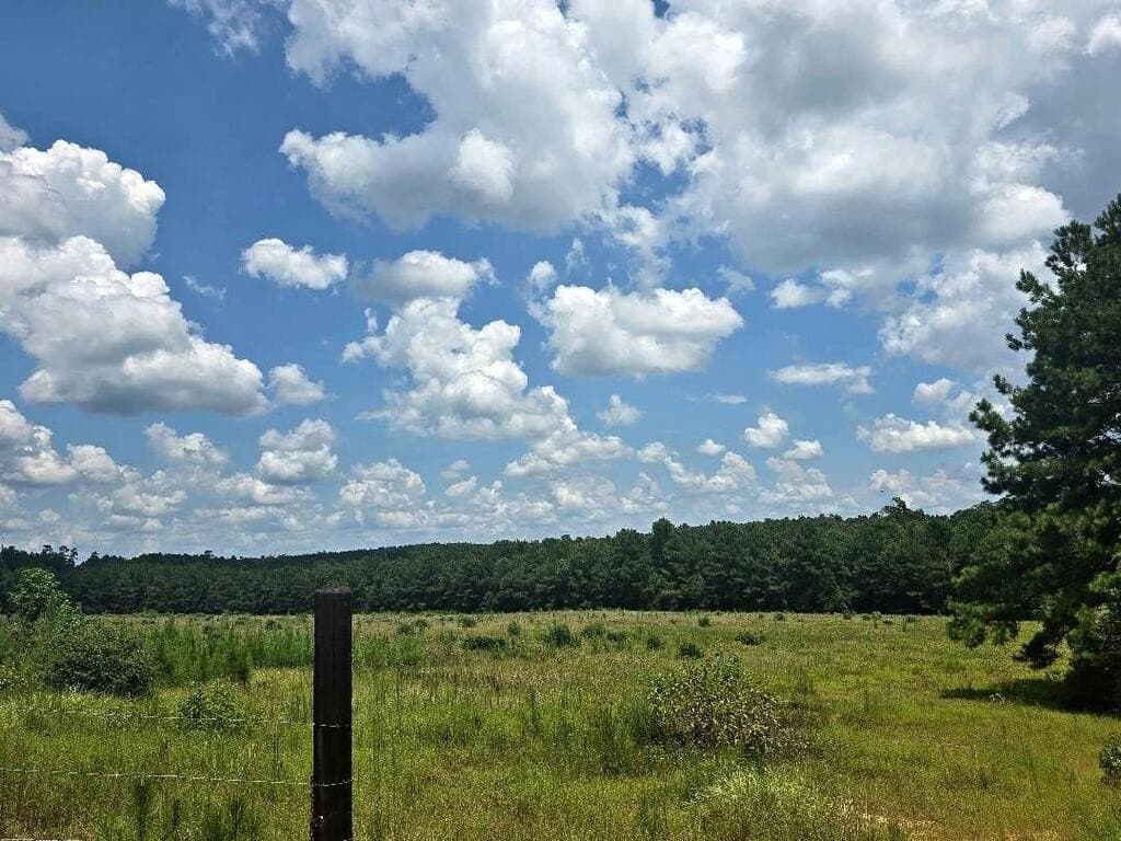 38.49 acres in Texas County