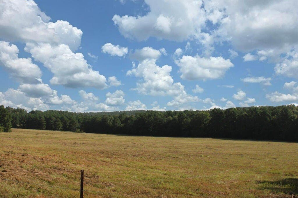 38.49 acres in Texas County