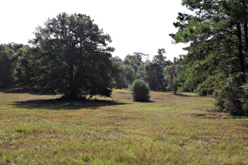 38.49 acres in Texas County - photo 3