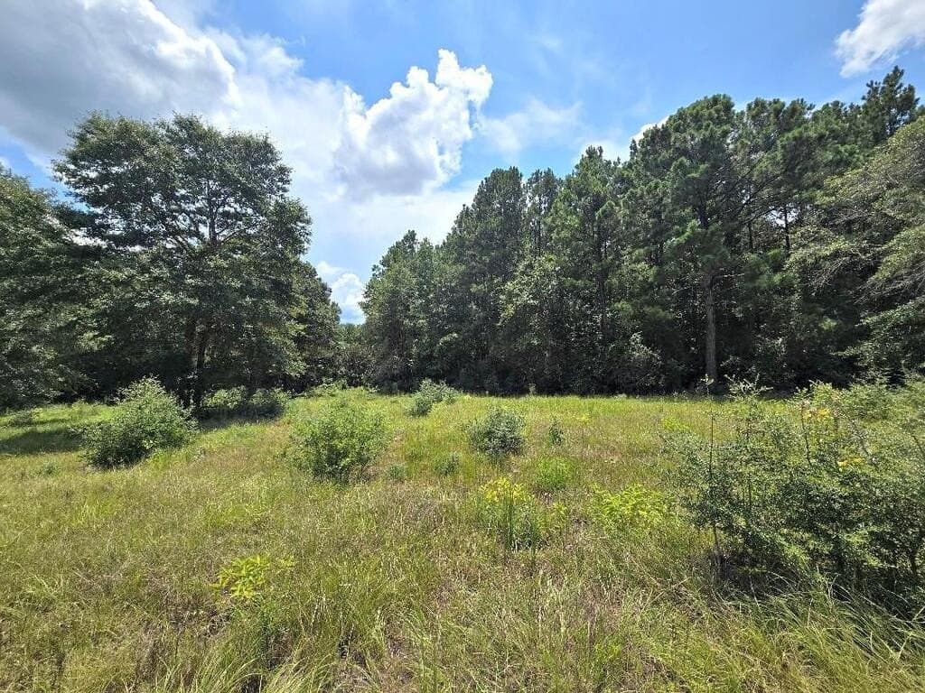 38.49 acres in Texas County - photo 9