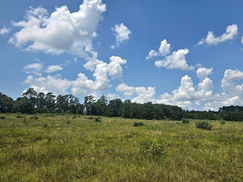 38.49 acres in Texas County - photo 2