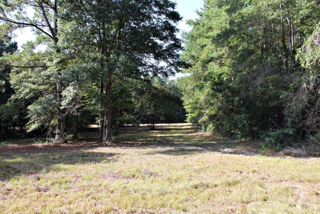 38.49 acres in Texas County - photo 11