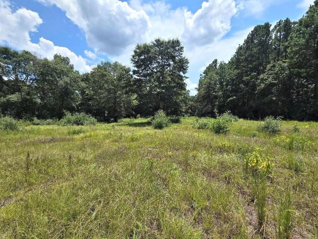 38.49 acres in Texas County - photo 3