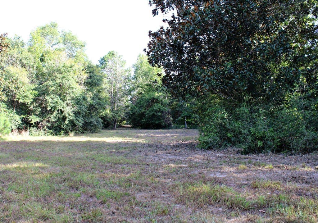 38.49 acres in Texas County - photo 13
