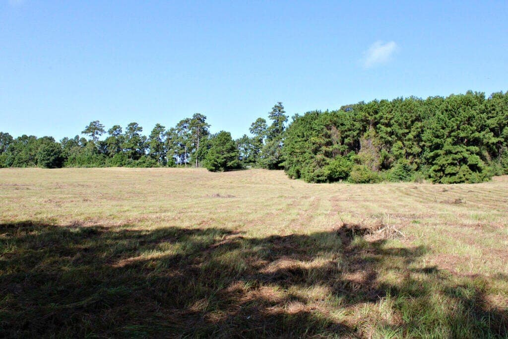 38.49 acres in Texas County - photo 14