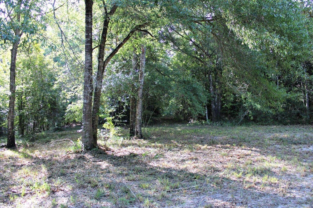 38.49 acres in Texas County - photo 9