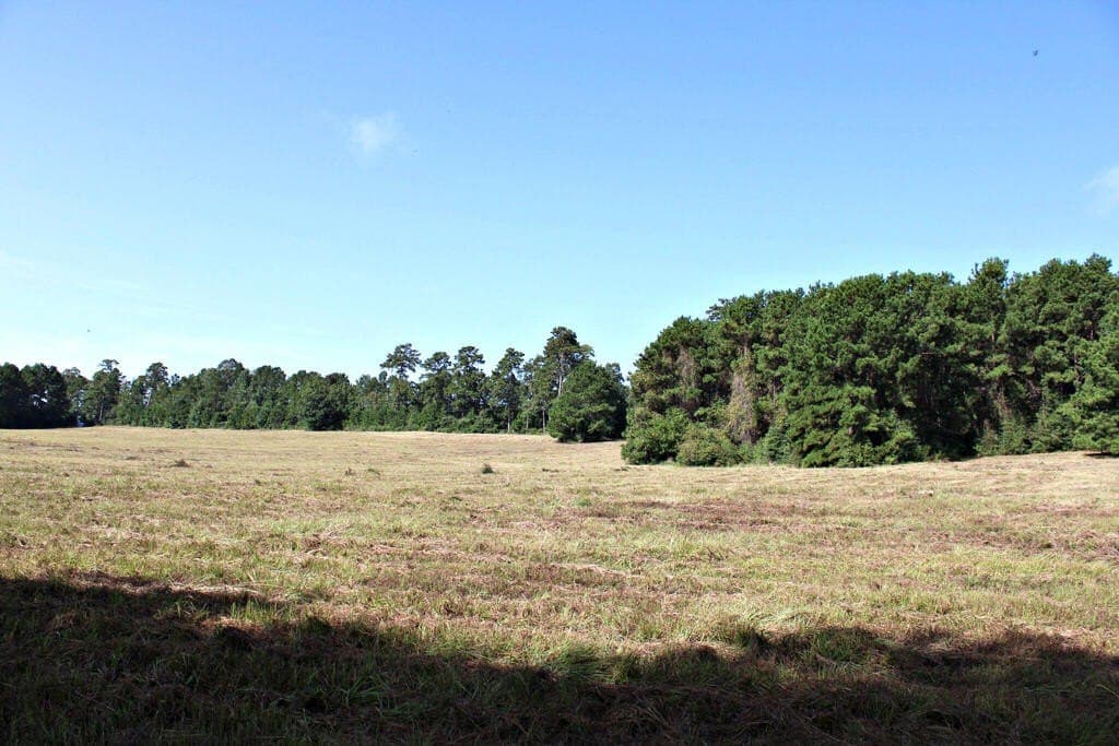 38.49 acres in Texas County - photo 4