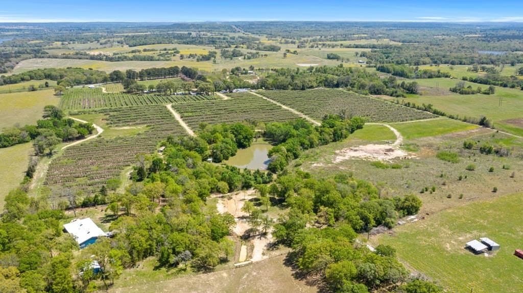 70 acres in Henderson County gallery image 4