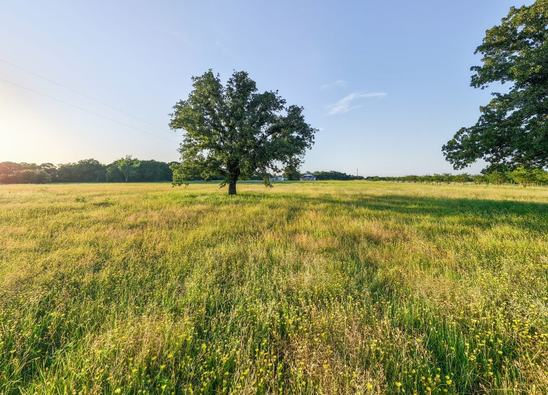 17.45 acres in Palo Pinto County - photo 34