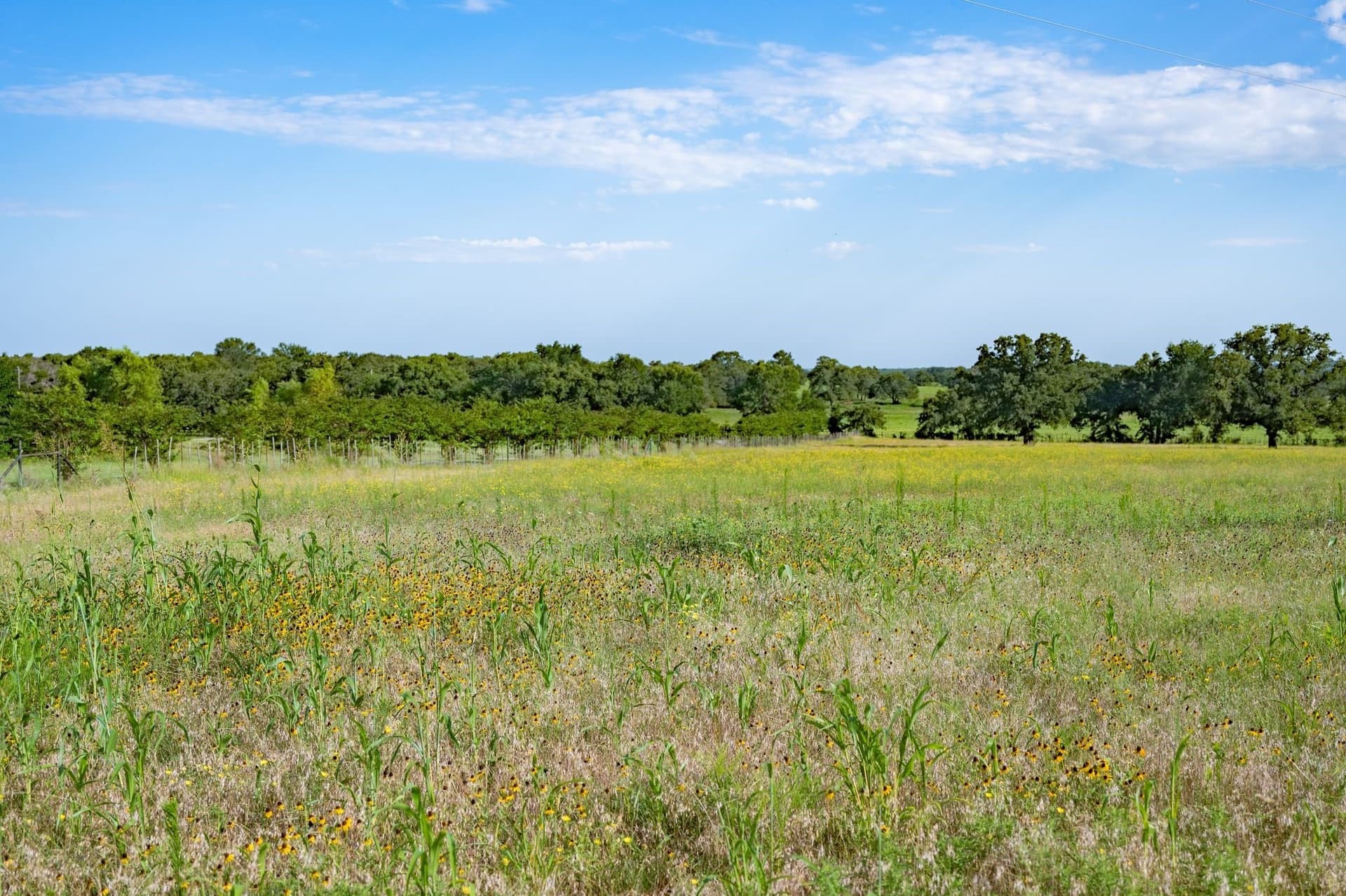 17.45 acres in Palo Pinto County - photo 37