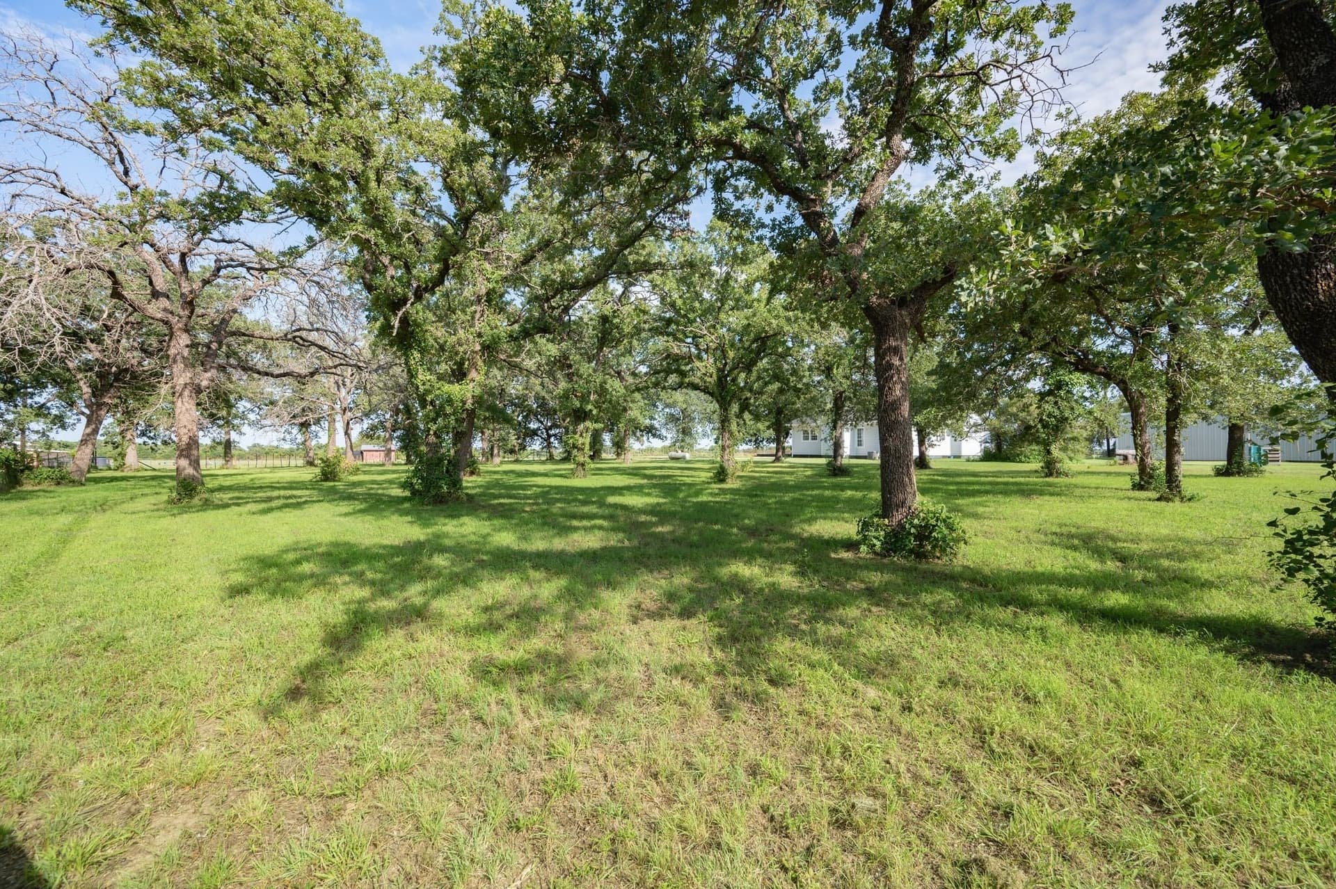 17.45 acres in Palo Pinto County - photo 33