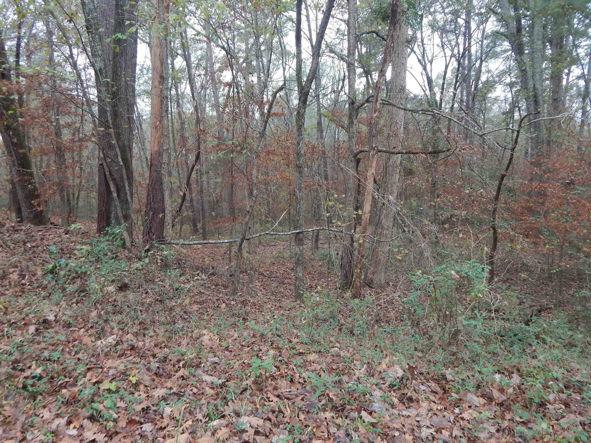 1.29 acres in Upshur County - photo 7