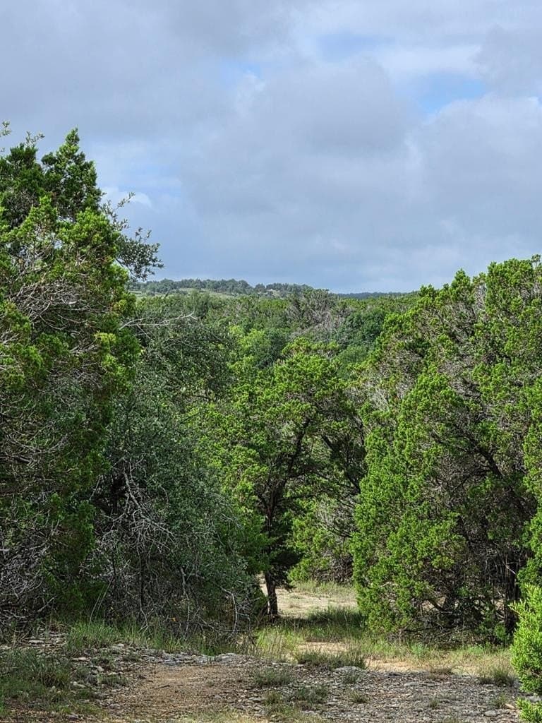 7.62 acres in Hays County - photo 17