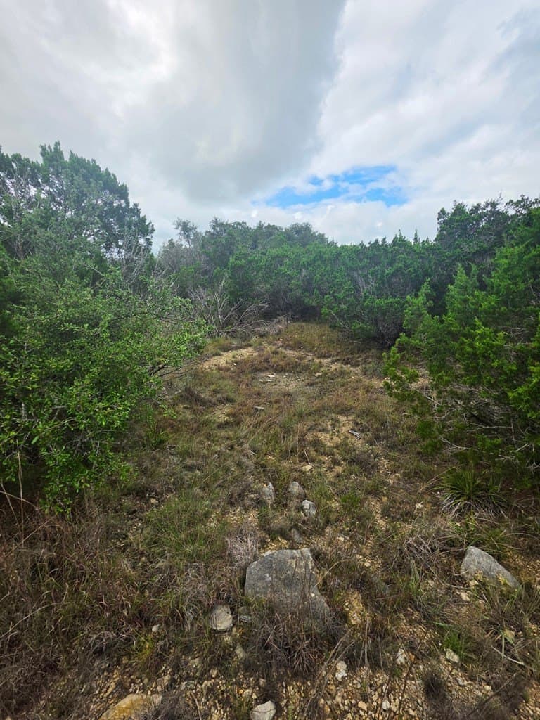 7.62 acres in Hays County - photo 19