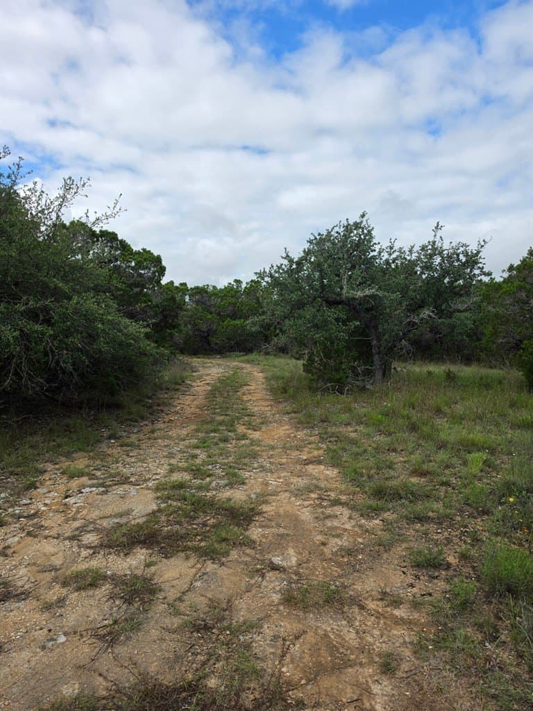 7.62 acres in Hays County - photo 18