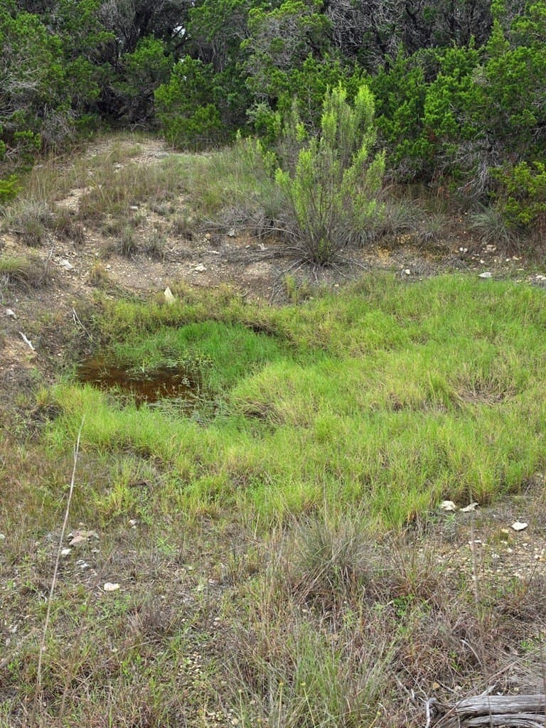 7.62 acres in Hays County - photo 20