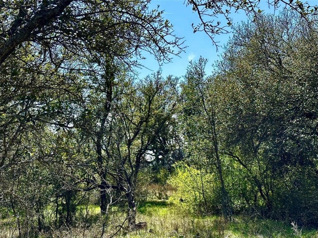 92 acres in Brown County gallery image 4