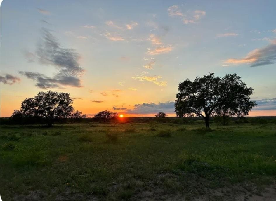 10.01 acres in Gillespie County - photo 21