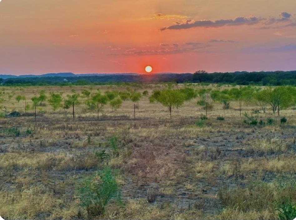 10.01 acres in Gillespie County - photo 16