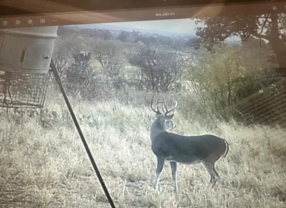 10.01 acres in Gillespie County - photo 22