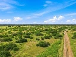 10.01 acres in Gillespie County - photo 10