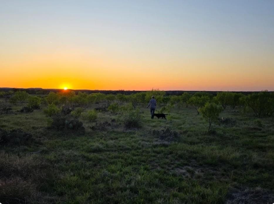 10.01 acres in Gillespie County - photo 24
