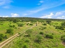 10.01 acres in Gillespie County - photo 47