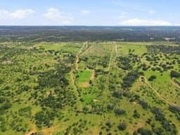 10.01 acres in Gillespie County - photo 30