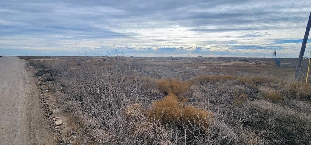 20 acres in Reagan County - photo 2