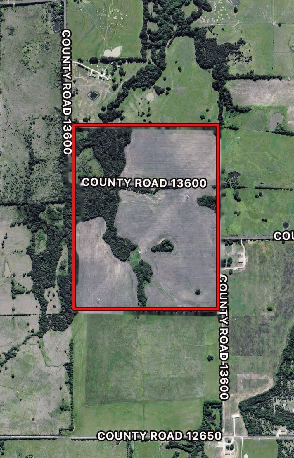 140.72 acres in Lamar County - photo 5