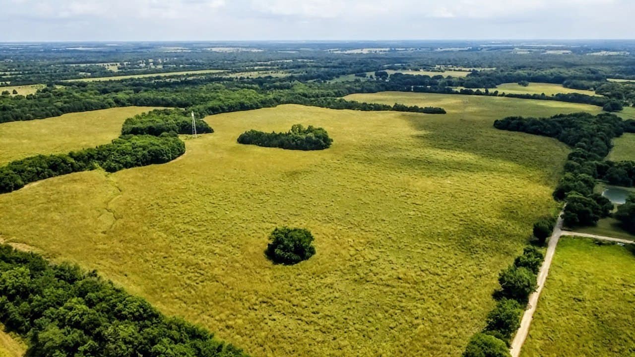 140.72 acres in Lamar County