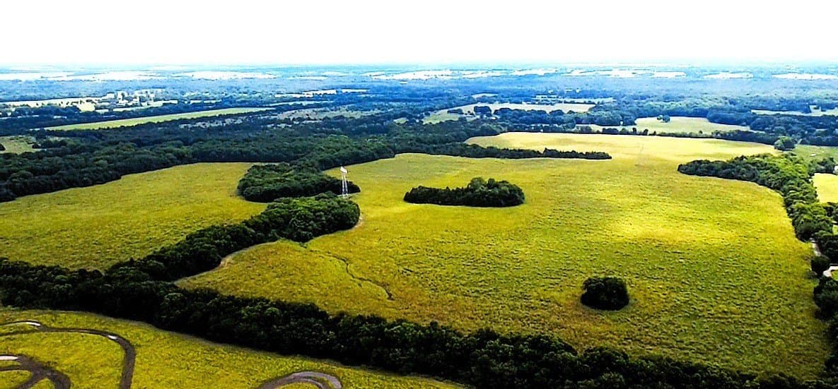 140.72 acres in Lamar County - photo 4