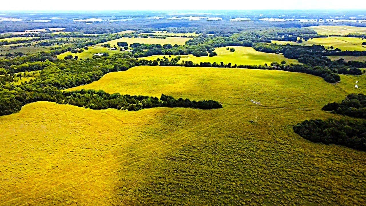 140.72 acres in Lamar County - photo 2