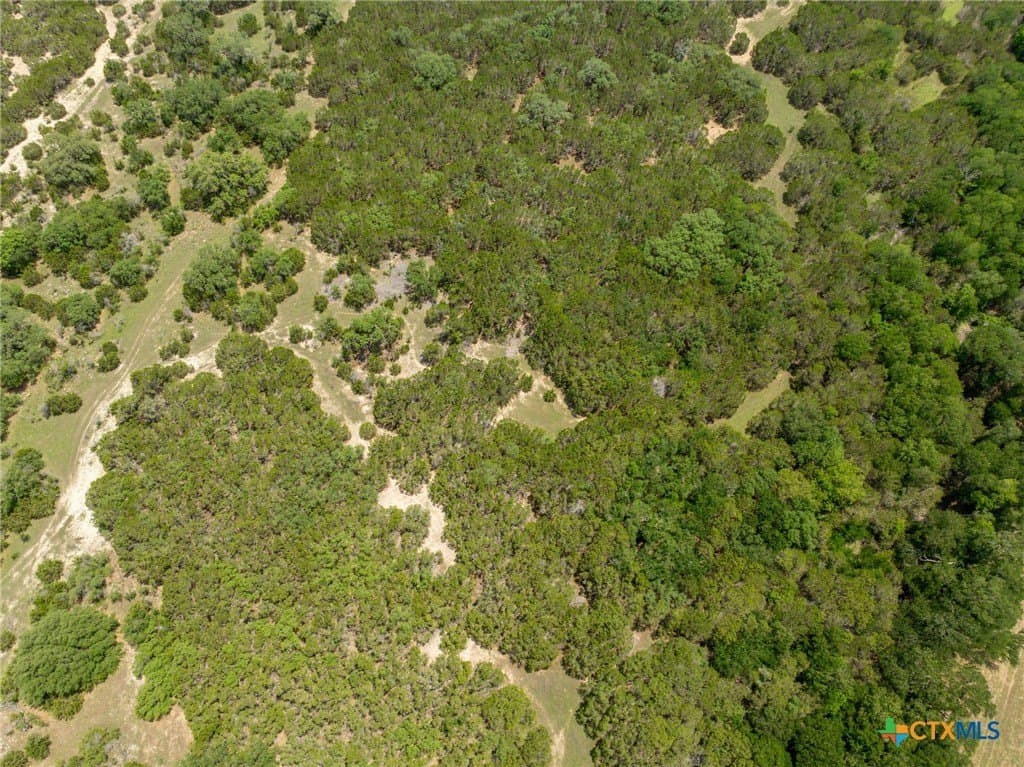421 acres in Coryell County - photo 12