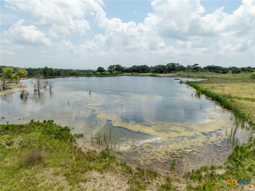 421 acres in Coryell County gallery image 3