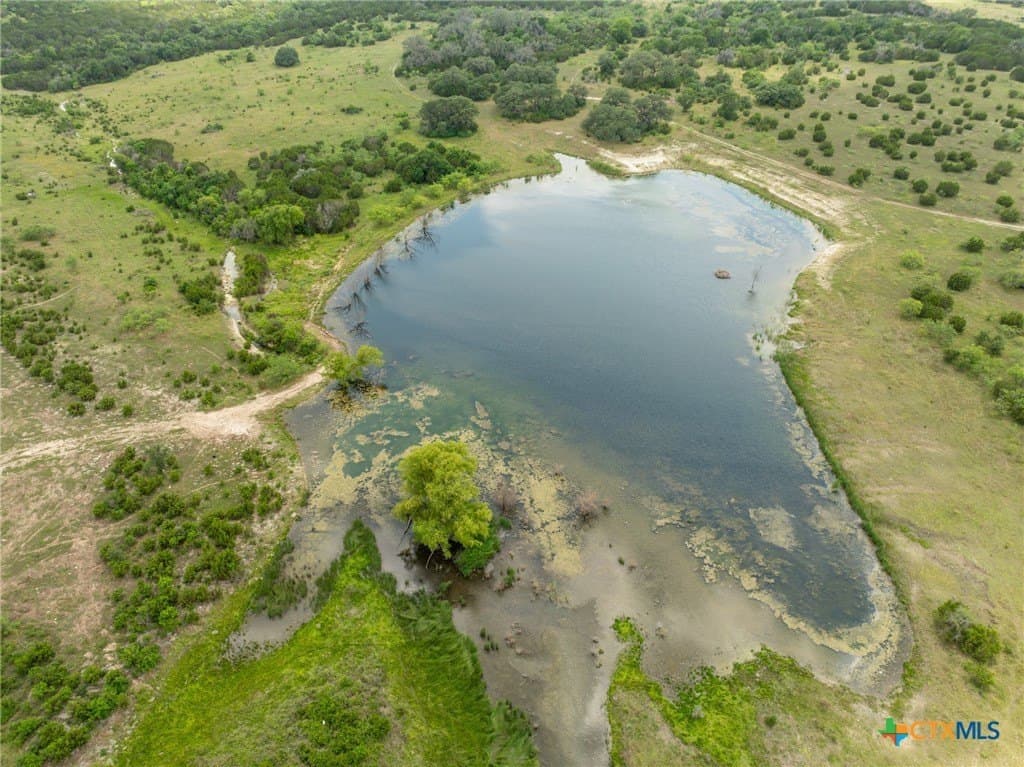 421 acres in Coryell County gallery image 4