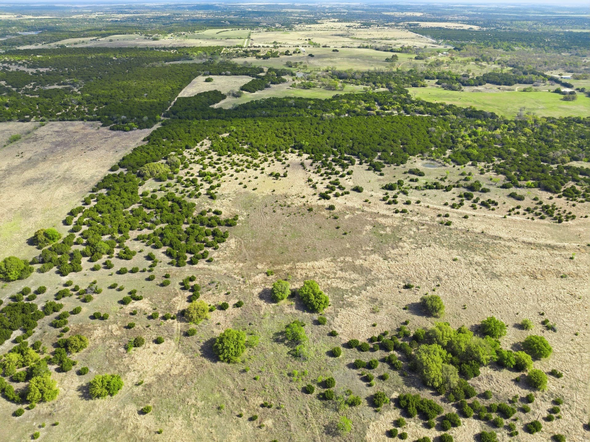 129.42 acres in Coryell County - photo 9