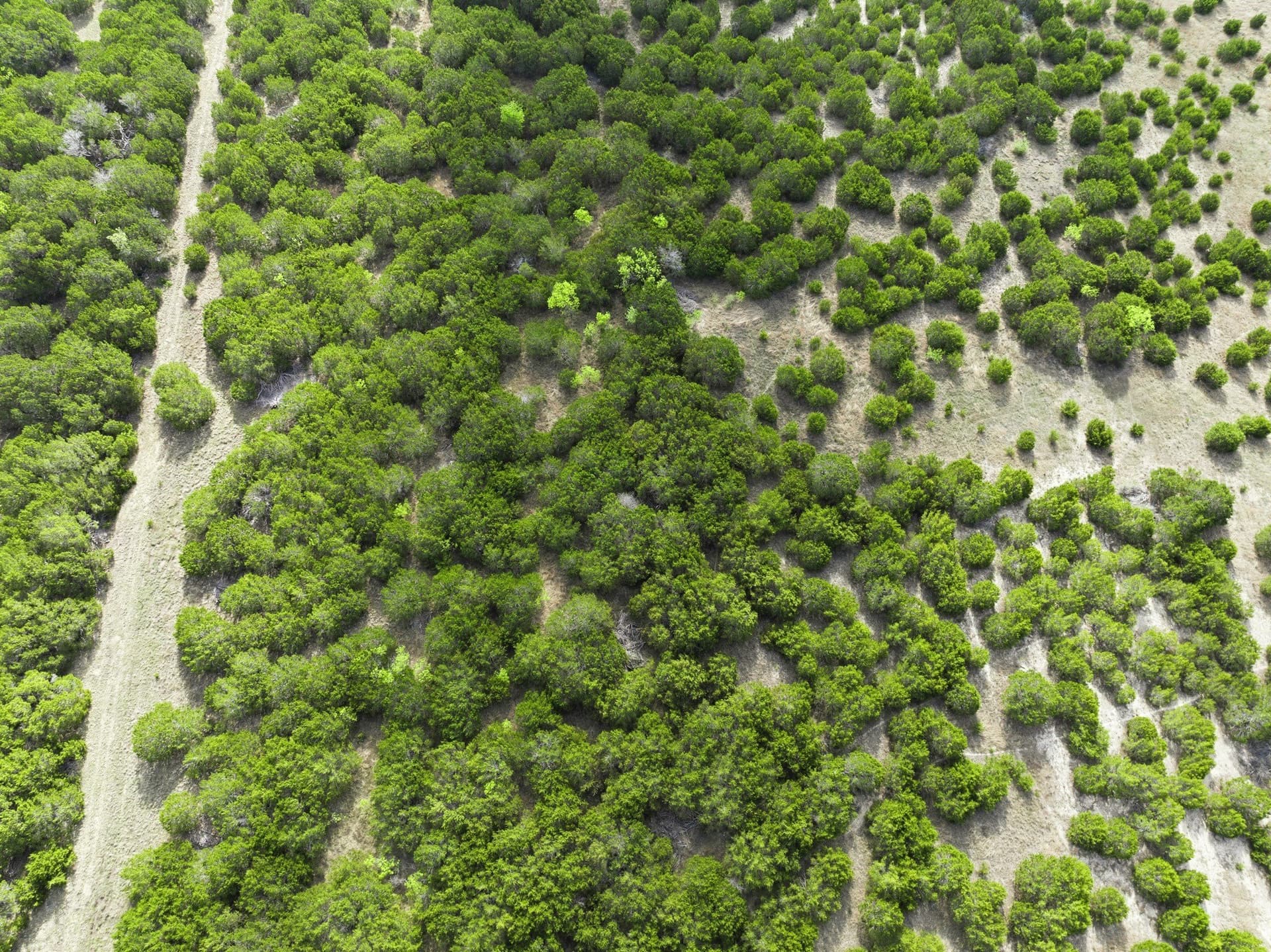 129.42 acres in Coryell County - photo 3