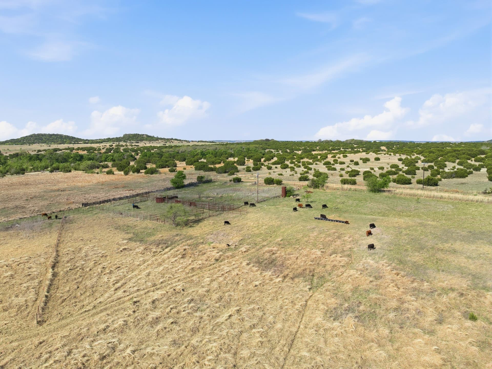 129.42 acres in Coryell County - photo 10