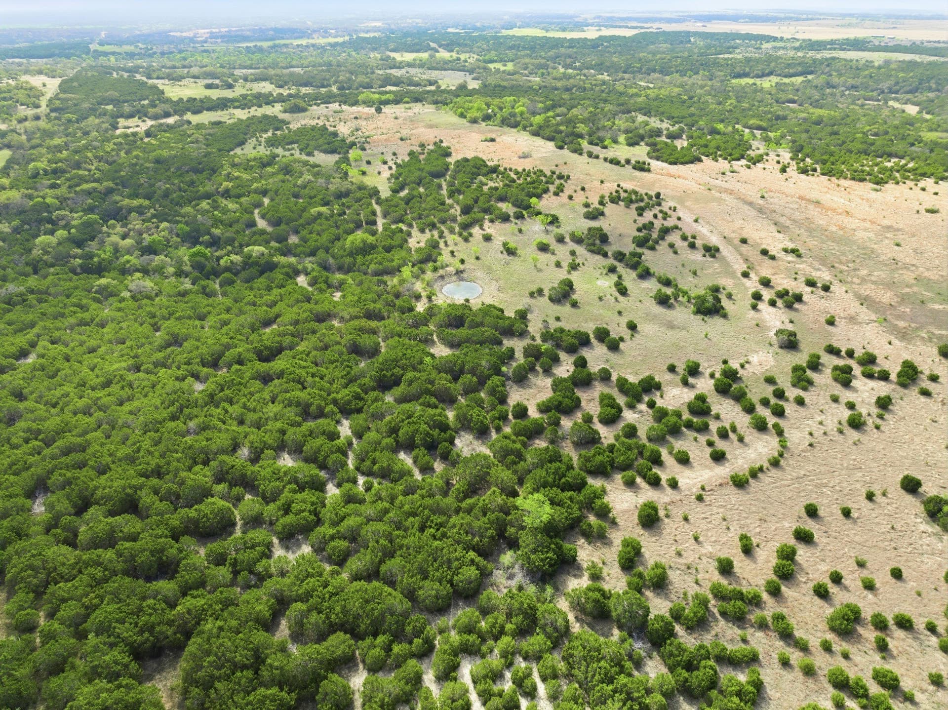 129.42 acres in Coryell County - photo 4