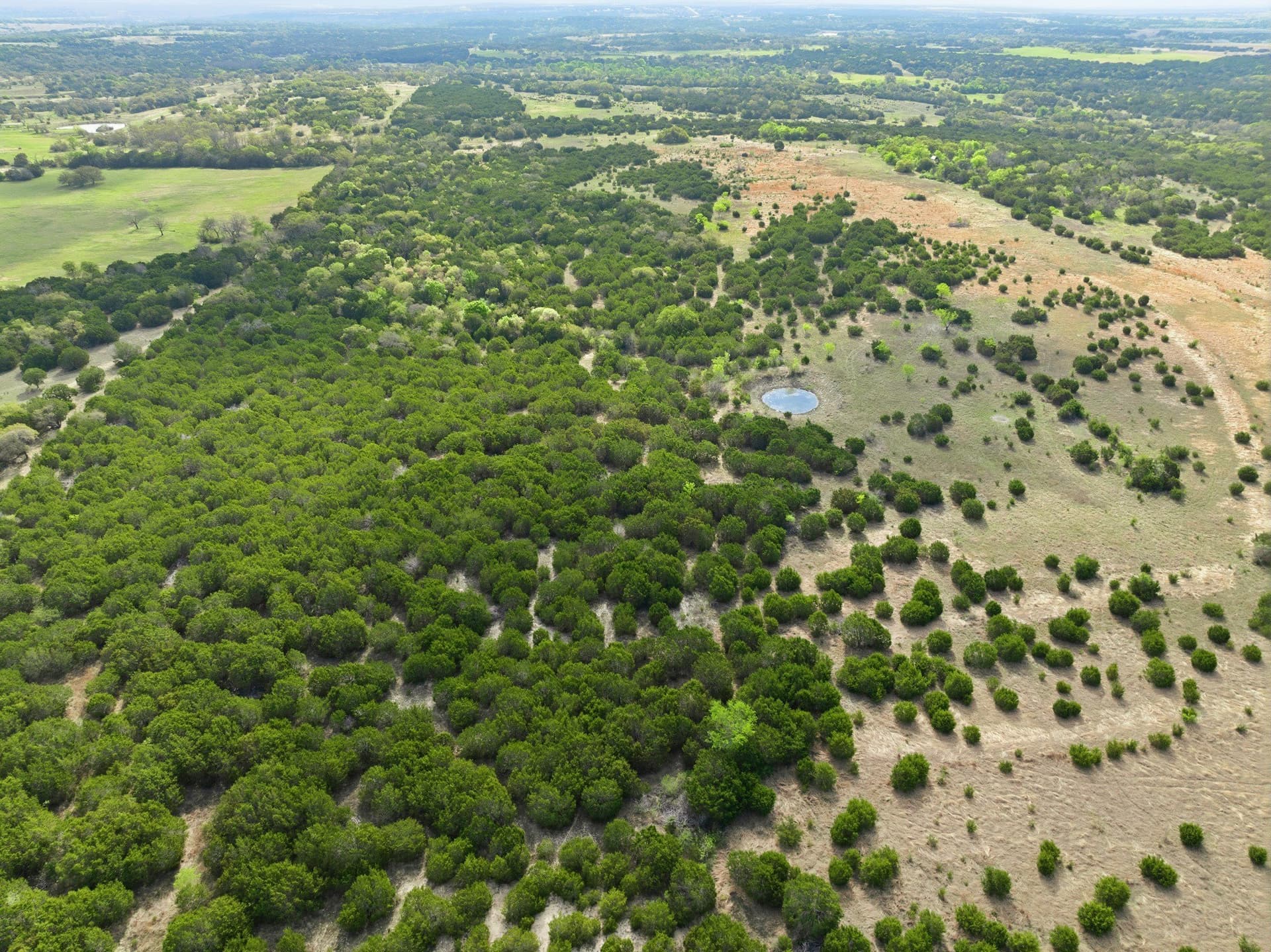 129.42 acres in Coryell County - photo 5
