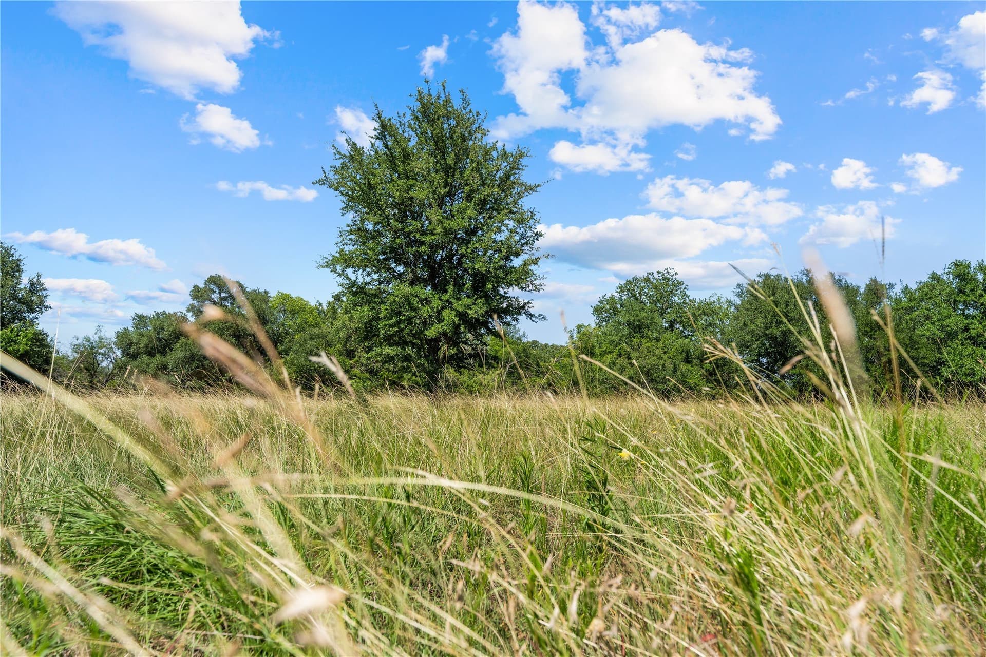 3.26 acres in Hill County - photo 3
