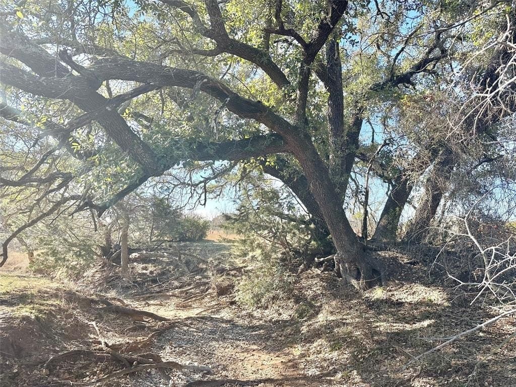 26 acres in Mills County