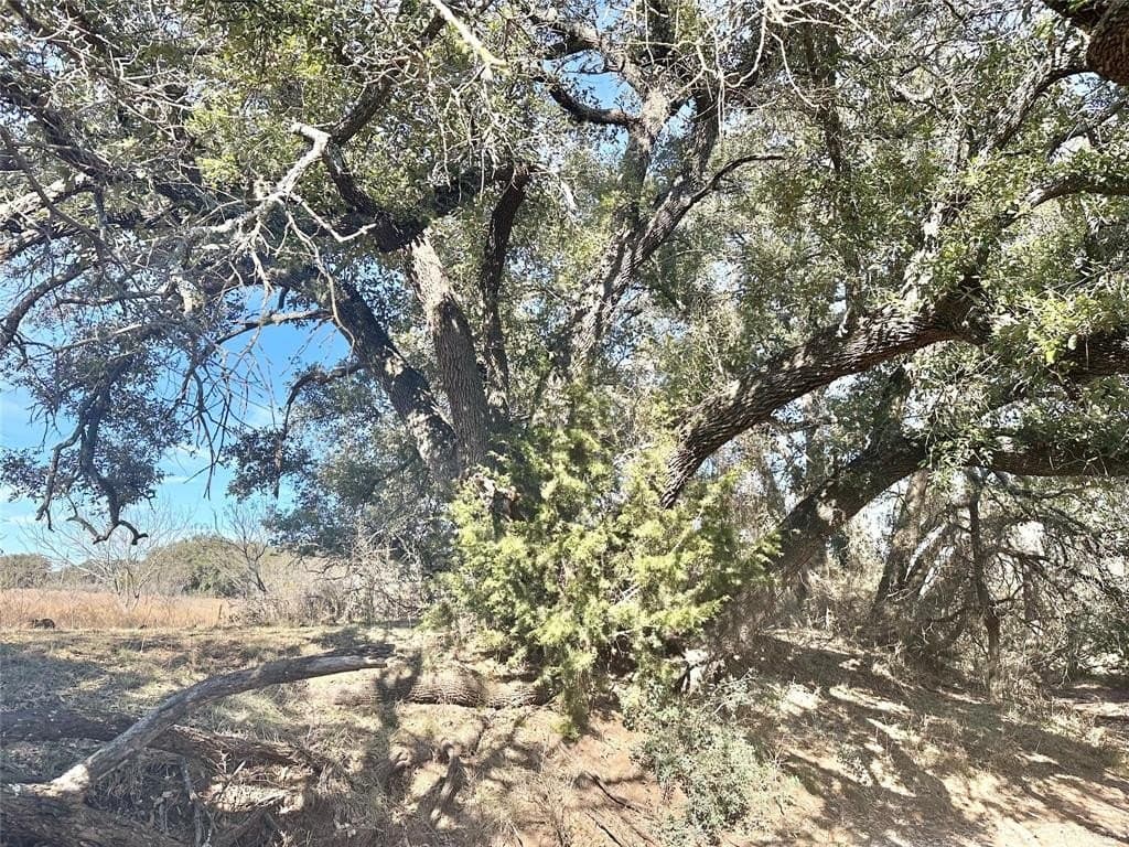 26 acres in Mills County gallery image 2