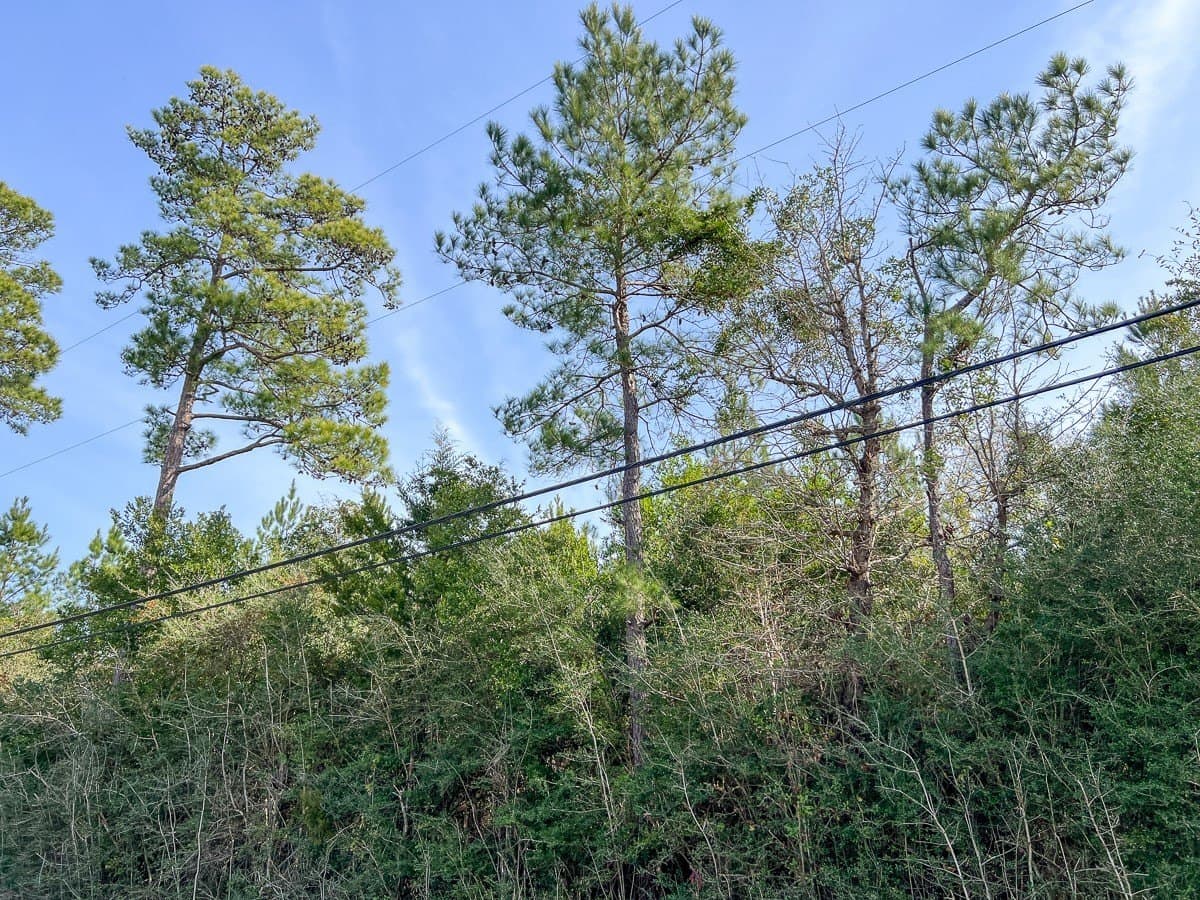 178 acres in Hardin County - photo 2