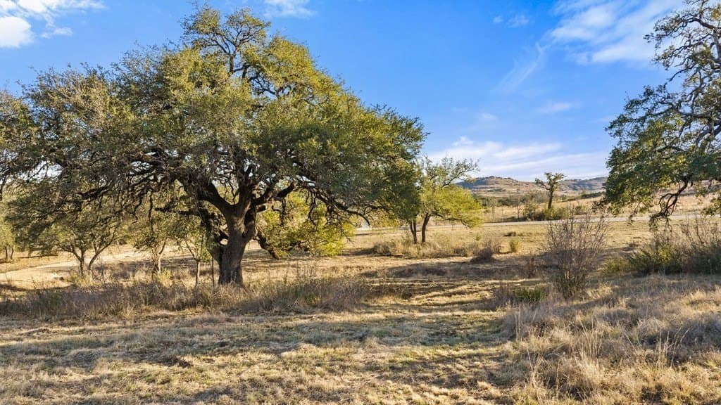 10.97 acres in Blanco County gallery image 4